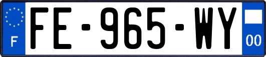 FE-965-WY