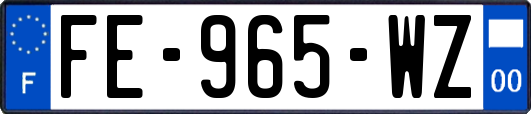 FE-965-WZ