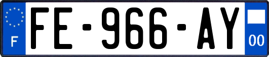 FE-966-AY