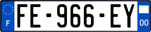 FE-966-EY