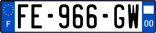 FE-966-GW