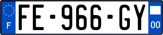 FE-966-GY