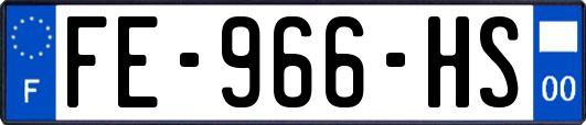 FE-966-HS