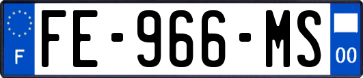 FE-966-MS