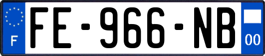 FE-966-NB