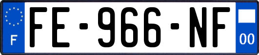 FE-966-NF