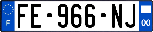 FE-966-NJ