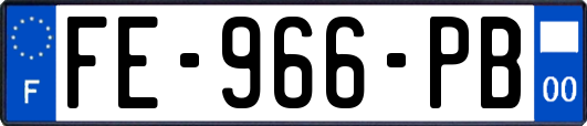 FE-966-PB
