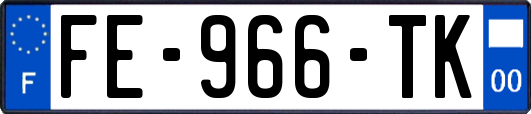 FE-966-TK