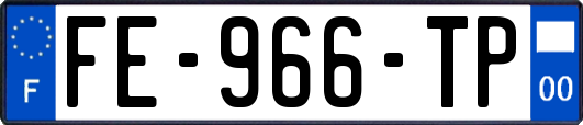 FE-966-TP
