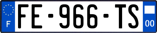 FE-966-TS