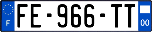FE-966-TT
