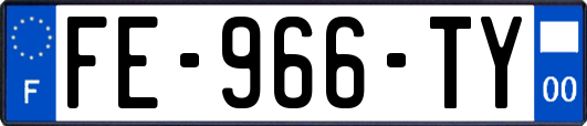 FE-966-TY