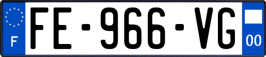 FE-966-VG