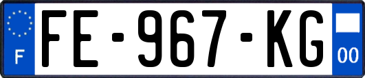 FE-967-KG