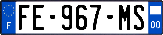 FE-967-MS