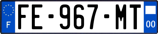 FE-967-MT
