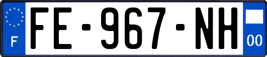 FE-967-NH