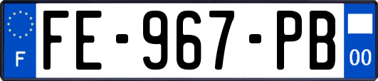 FE-967-PB