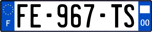 FE-967-TS