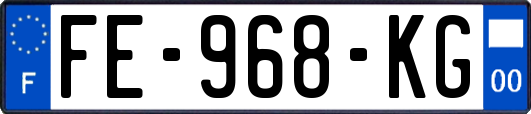 FE-968-KG