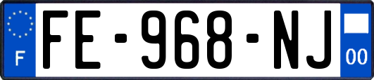 FE-968-NJ