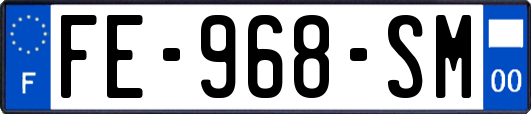 FE-968-SM