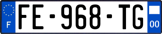 FE-968-TG