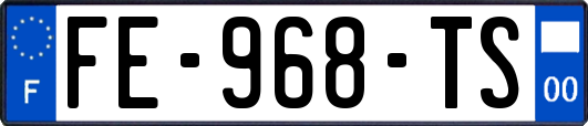 FE-968-TS