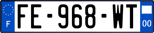 FE-968-WT