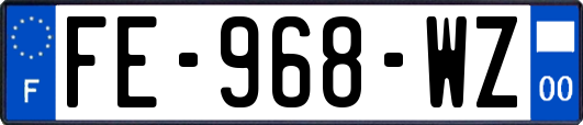 FE-968-WZ