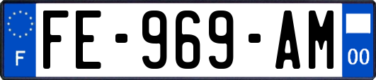 FE-969-AM