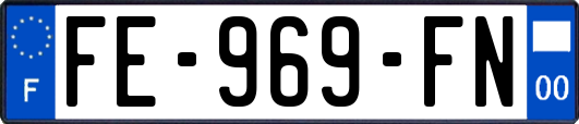 FE-969-FN