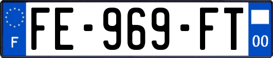 FE-969-FT