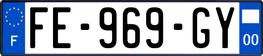 FE-969-GY