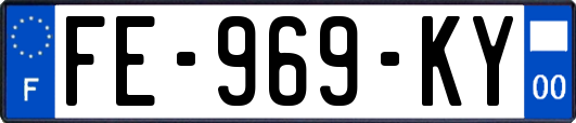 FE-969-KY
