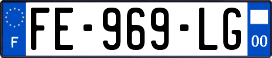 FE-969-LG