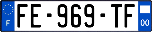 FE-969-TF