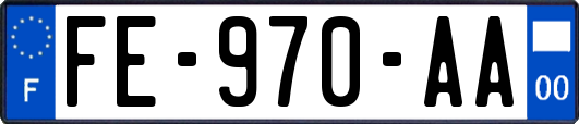 FE-970-AA