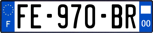 FE-970-BR
