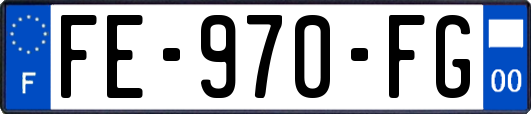 FE-970-FG