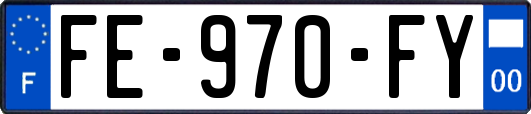 FE-970-FY