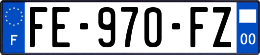 FE-970-FZ