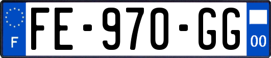FE-970-GG