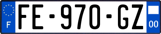 FE-970-GZ