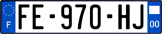 FE-970-HJ