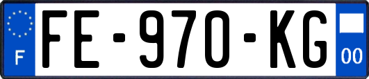 FE-970-KG