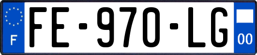 FE-970-LG