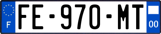 FE-970-MT