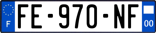 FE-970-NF